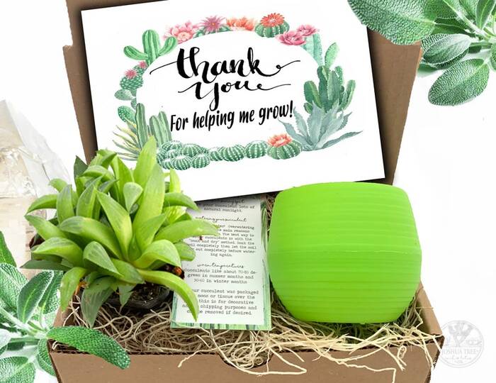 Thank You For Helping Me Grow A Gift Box - Valentine'S Gifts For Teachers From Students