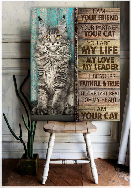 Ohcanvas Top 10 Gorgeous Cat Print Your Cat Wall Art Decor Oh Canvas