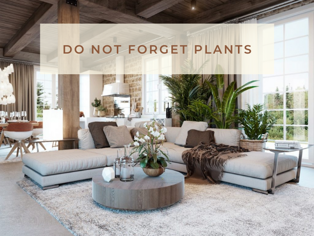 Plants is one of best rustic decorating ideas