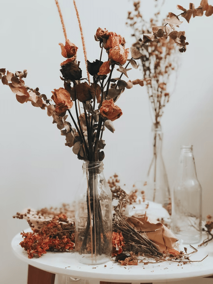 Dried flowers as a traditional gift to celebrate 4 year anniversary 