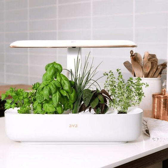 4 year anniversary gift smart indoor garden