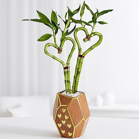 Heart Shaped Bamboo Valentine's day gift for her