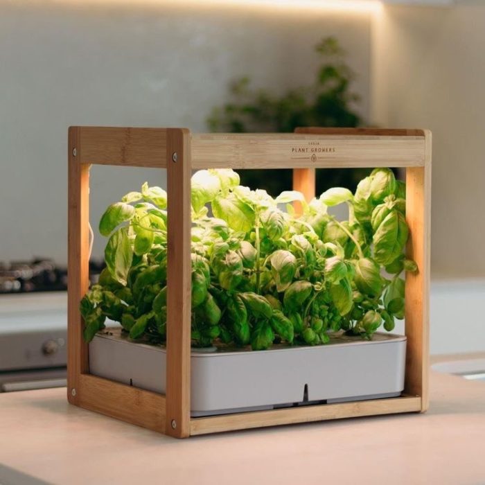 give smart gardens as wedding gifts ideas for couples.