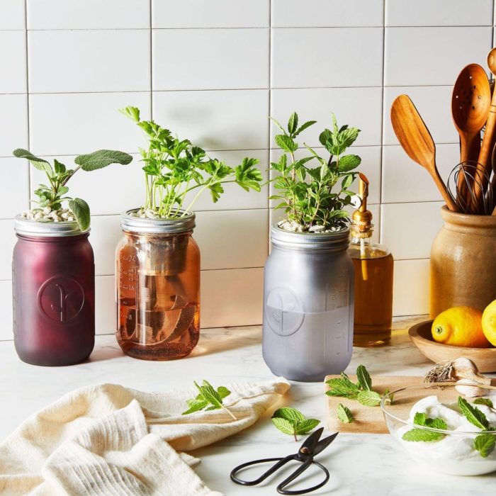 Modern Sprout Herb Kit Gift For Male Coworker