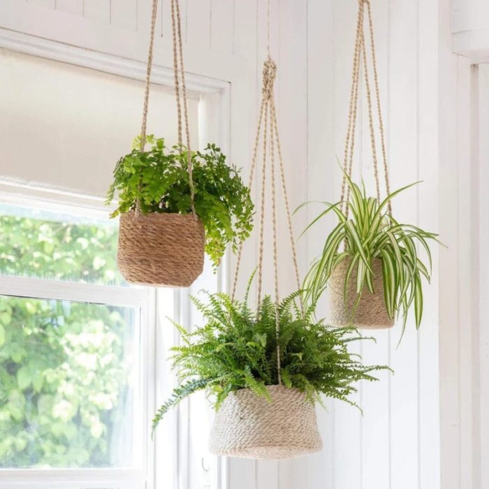 Give Hanging Plant Pot as a wedding gift for couple who has everything