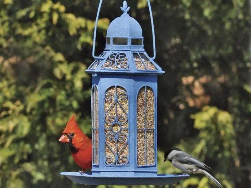 Tin Bird Feeder for the 10th anniversary gift 