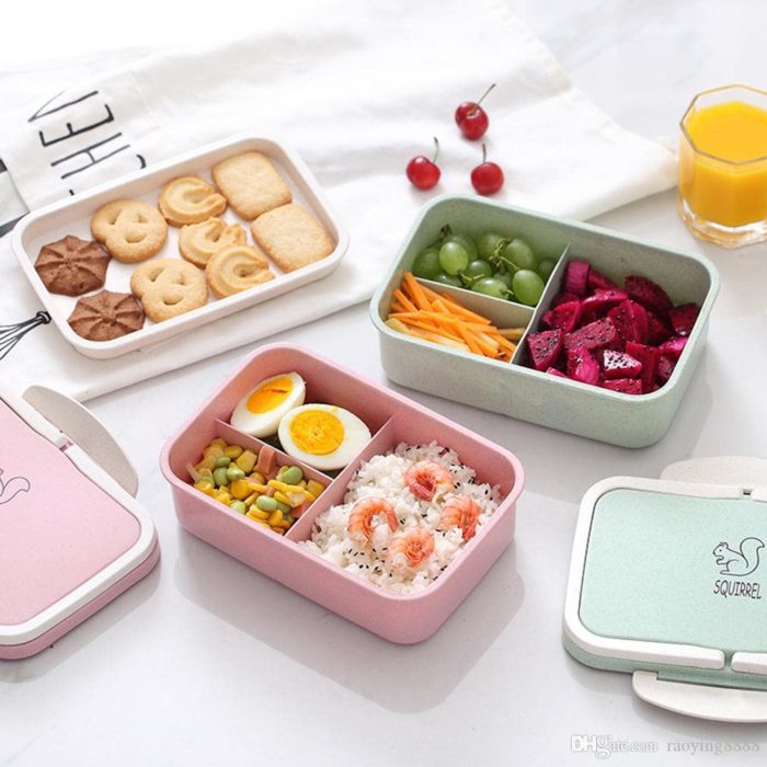Bento Lunch Box - Unique Gift For Boss Male