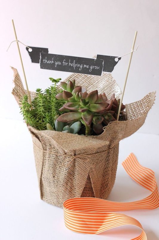 DIY Plant Gifts - Valentine gift for teacher.