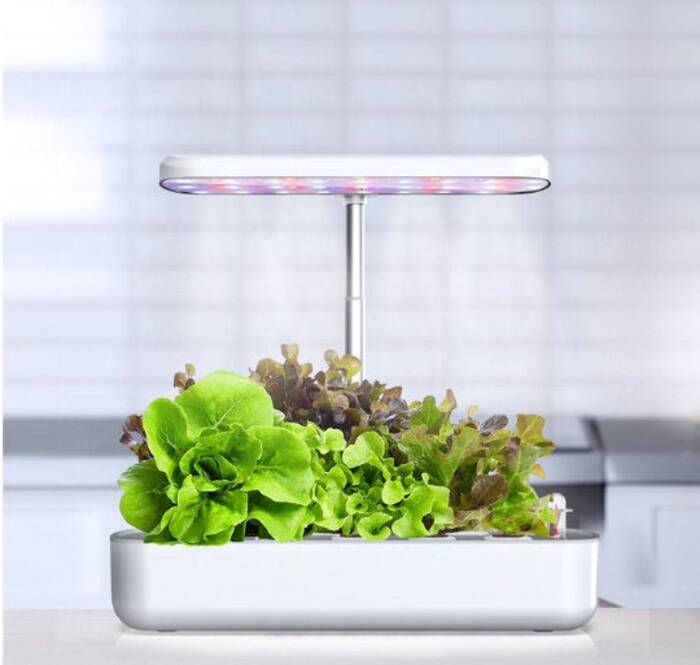 Indoor Hydroponic Garden - Valentine's day gift for parents. 