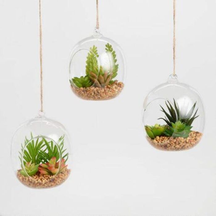 Unique valentine gift ideas for coworkers - Plants. Source: Pinterest
