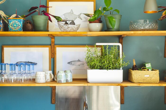 top 10 mother's day gift ideas: Self-Watering Planter