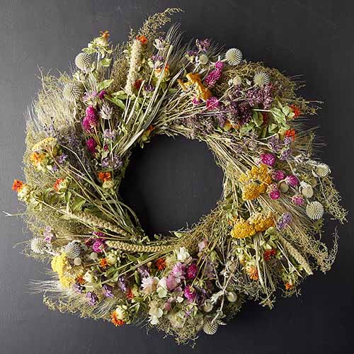 Apricot Begonia Double Flower Preserved Fall Perennial Wreath