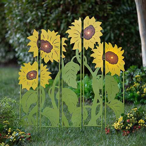 Apricot Begonia Double Flower Sunflower Garden Lighted Landscape Panel