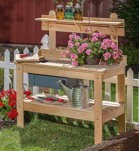 Apricot Begonia Double Flower Amish-Made Cypress Potting Table
