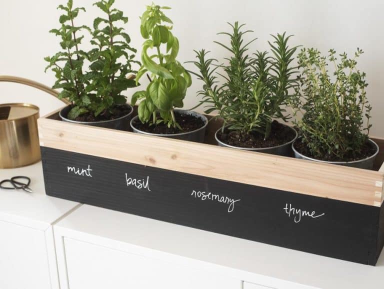 Mother's day DIY gifts DIY Herb Planter