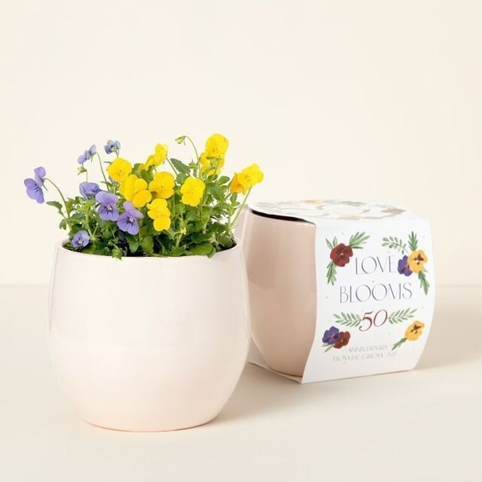 Flower Seeds Grow Kit - Surprise Gifts For Mom Dad Anniversary