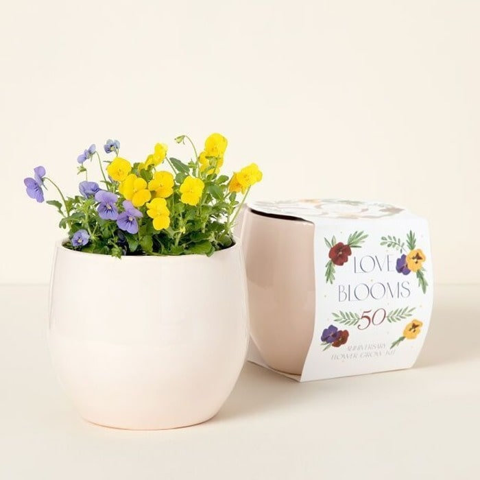 Flower seeds grow kit