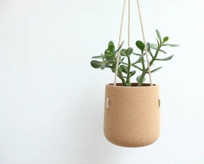 Hanging planter: best anniversary gift for parents