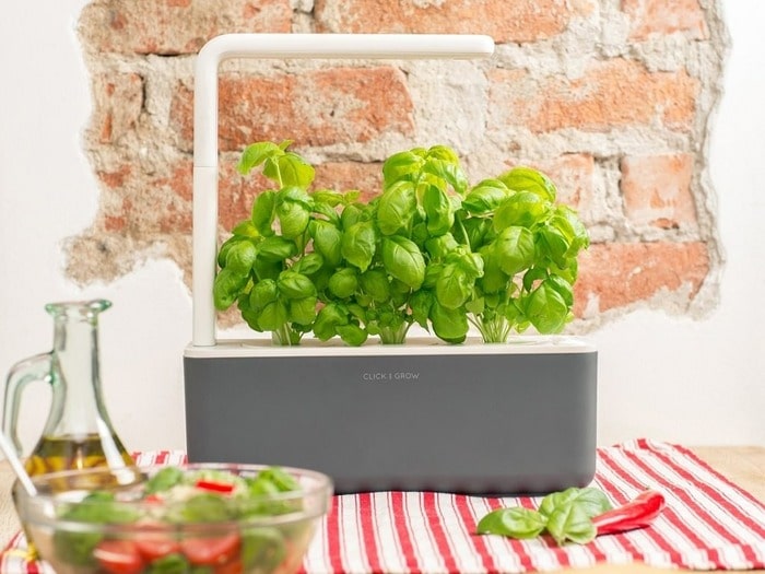 Smart garden: wedding anniversary gifts for parents