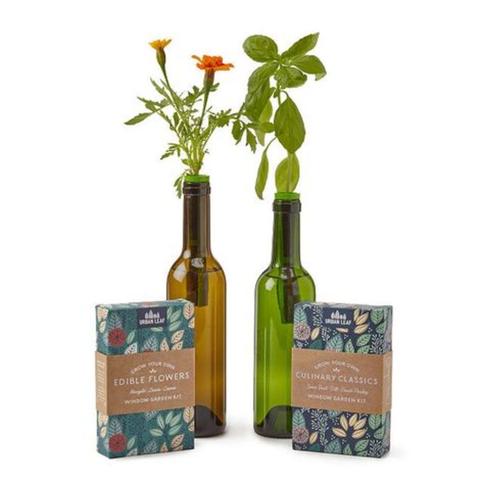 Bottle garden kit