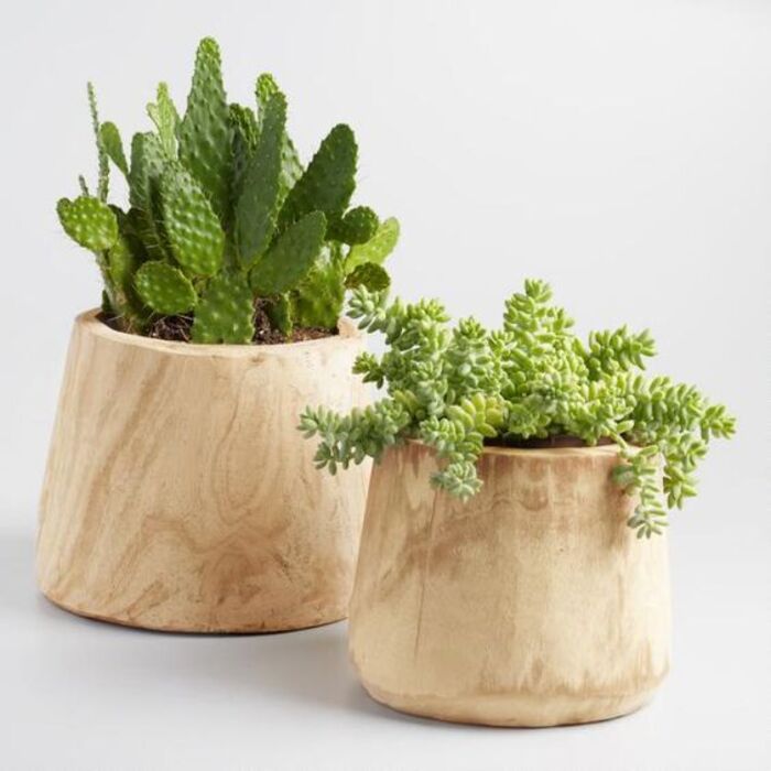 Wood planters - fun gifts for wife