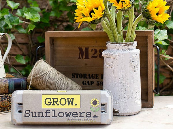 mother's day gifts for friends Gift the Sunflower Garden Grow Kit, $12