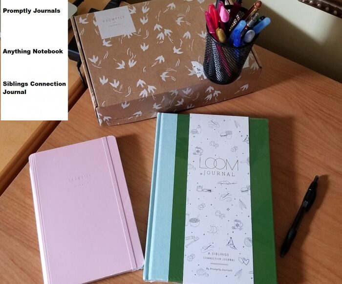 mother's day gifts for sister A Journal of a Lifetime: Siblings