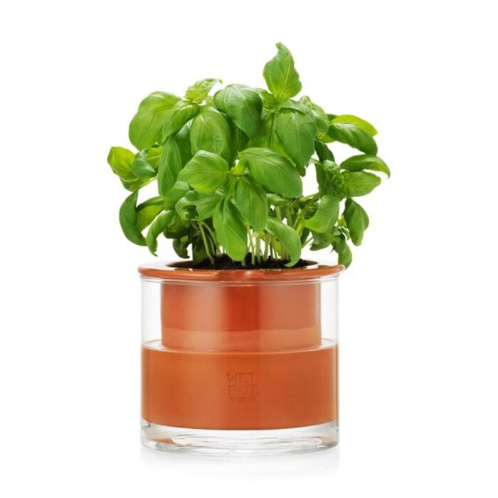 Smart tree pots - Lovely gifts for wife who wants nothing