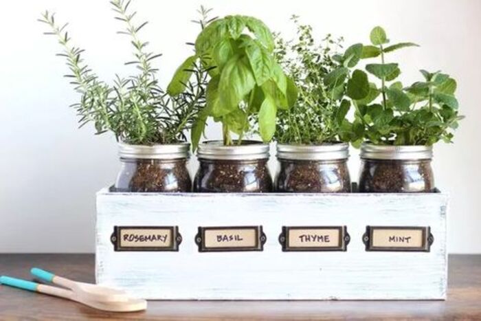 Herb planters as lovely homemade gifts for mom