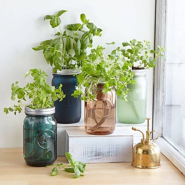 last minute long distance mother's day gifts Mason jar indoor herb garden