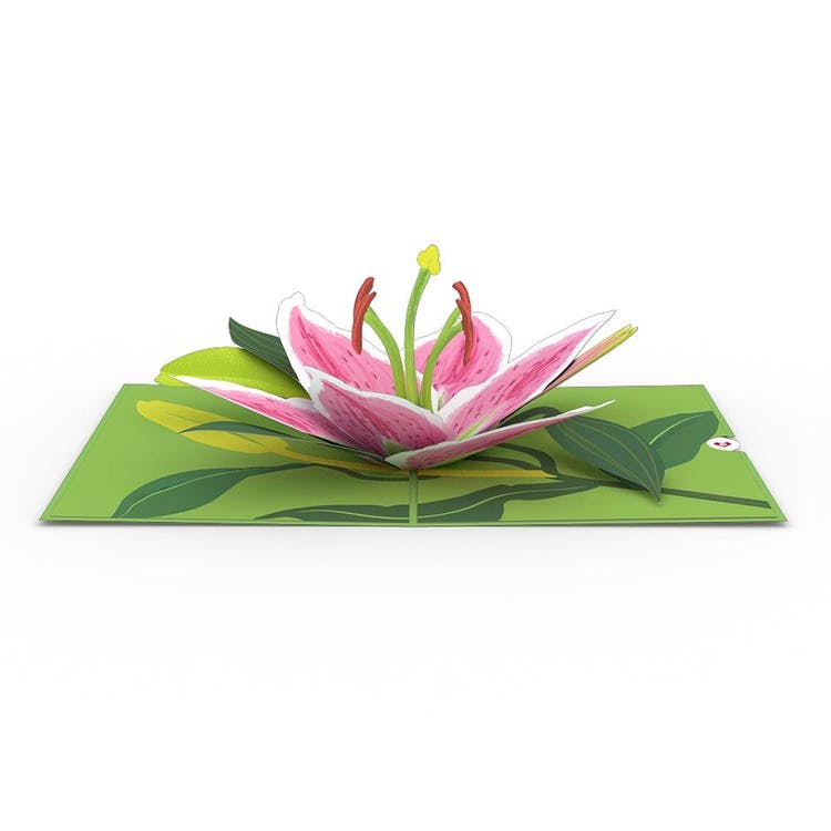 Long Distance Mother’s Day Gifts Love Pop Lily Bloom Pop-Up Card