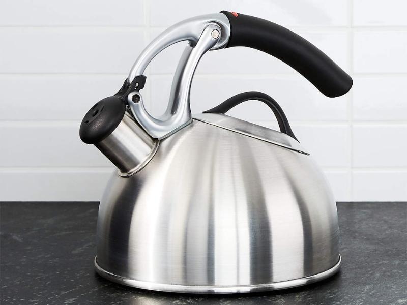 Stainless Steel Tea Kettle for steel anniversary gifts for wife