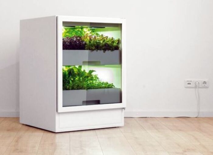 Indoor gardens as wedding gifts for young couples