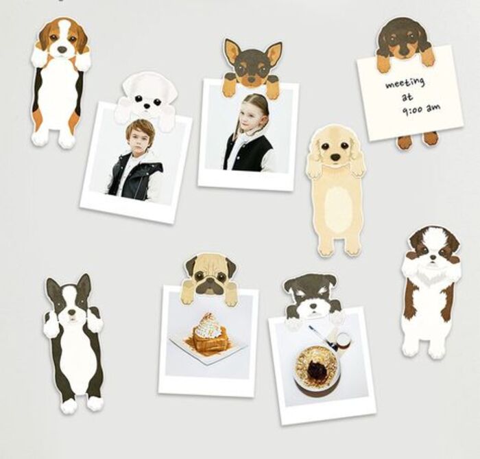 Pet magnets - cute stepmom Mother's Day gifts