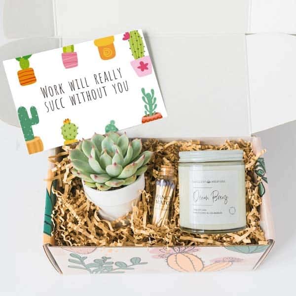 gifts for female coworkers - Work Would Succ Without You Box
