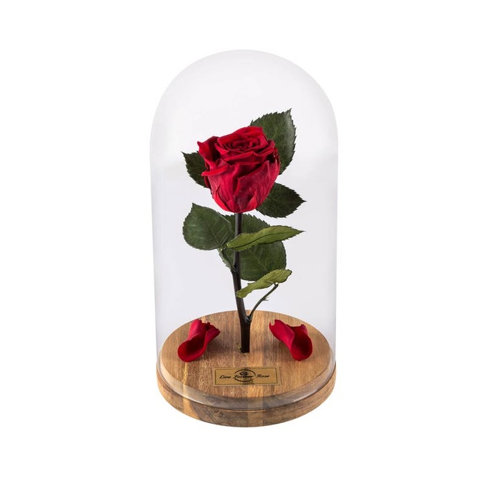 Rose Forever - wedding gift ideas last minute. 