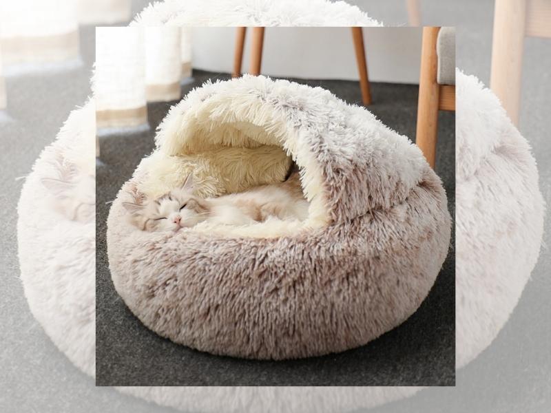 Plush Bed for the seventeenth anniversary gift
