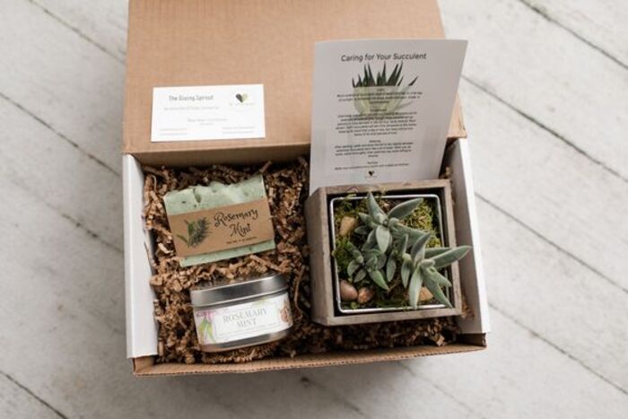 Plants subscription boxes as practical wedding presents