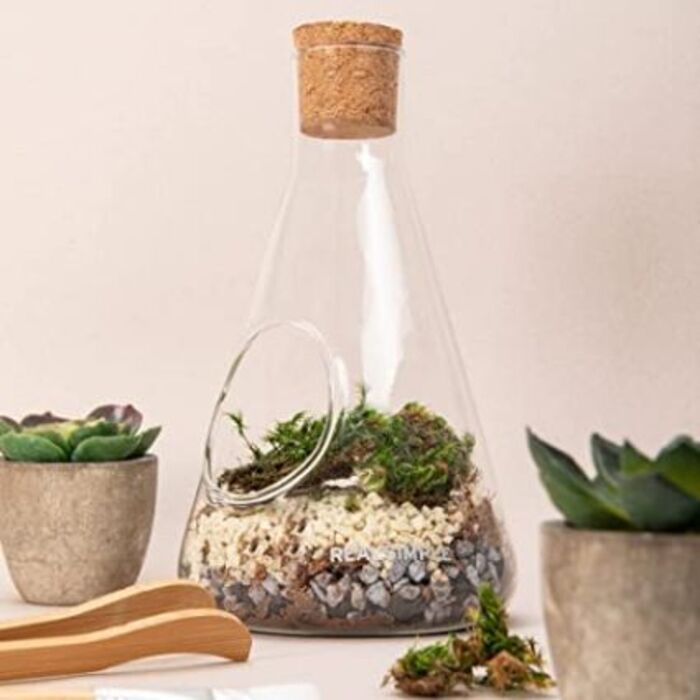 Terrarium Kit For The Best Wedding Gifts For Older Couples