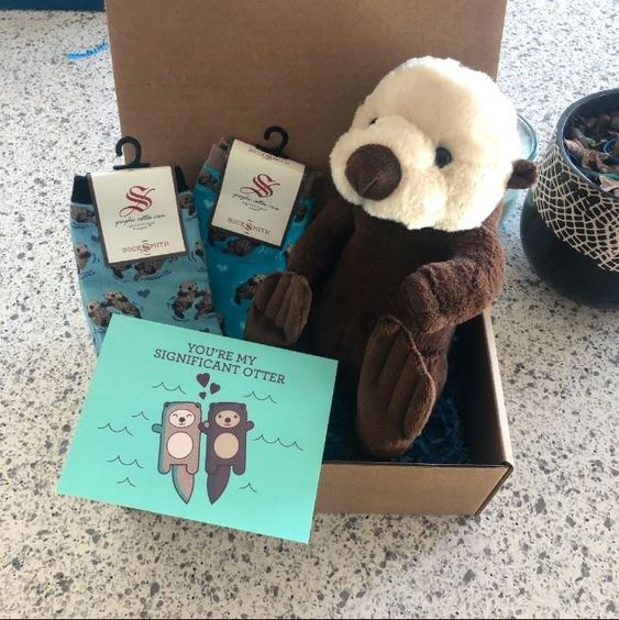 long distance relationship gifts for her - An Otterly Cute Care Package