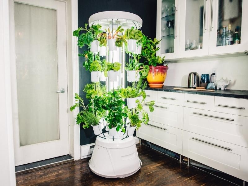 Indoor Hydroponic Garden for last minute anniversary gifts for her