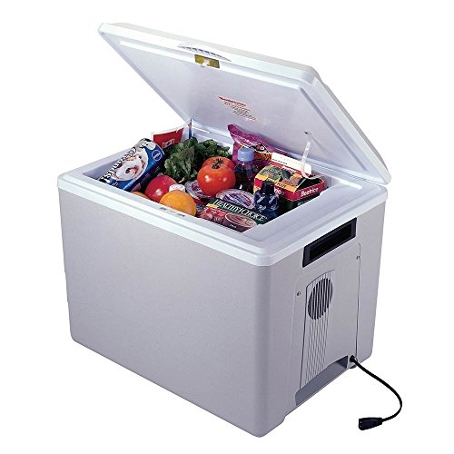 camping gift ideas for him - 12 Volt Electric Cooler/Warmer