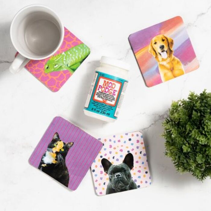 Cute Diy Pet Coasters Gift For Her