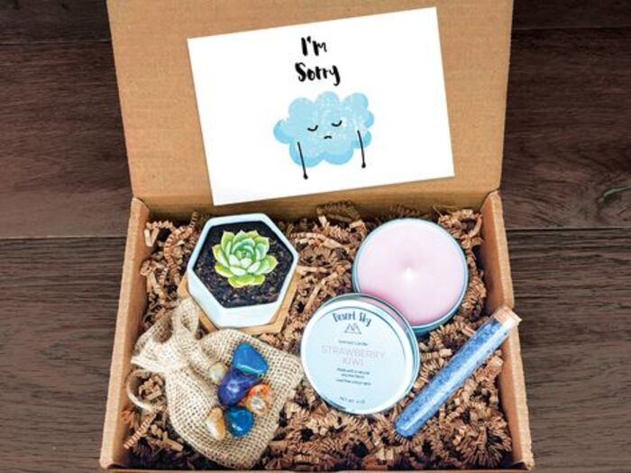 Succulent gift box: cool apology gifts for her