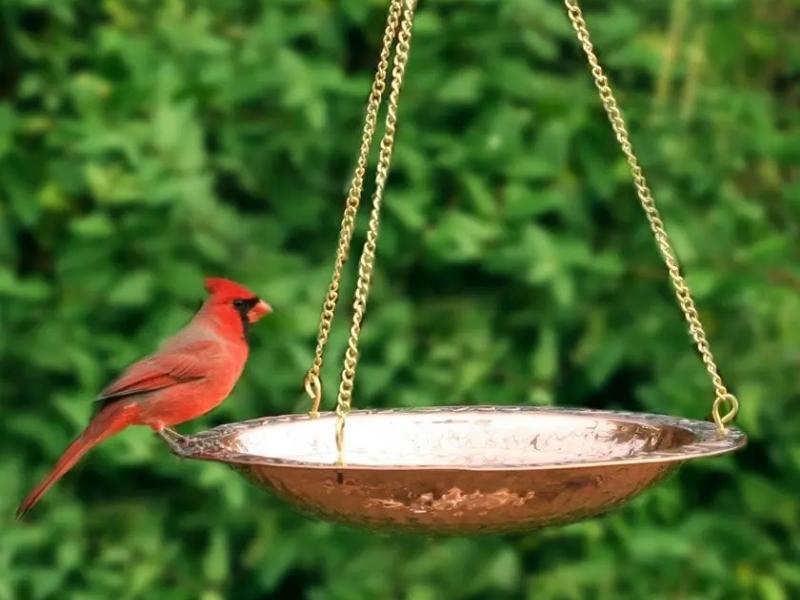 Hanging Bird Bath For The 21St Anniversary Wedding Gift