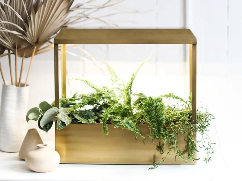 Smart Brass Growhouse For The 21 Years Anniversary Gift