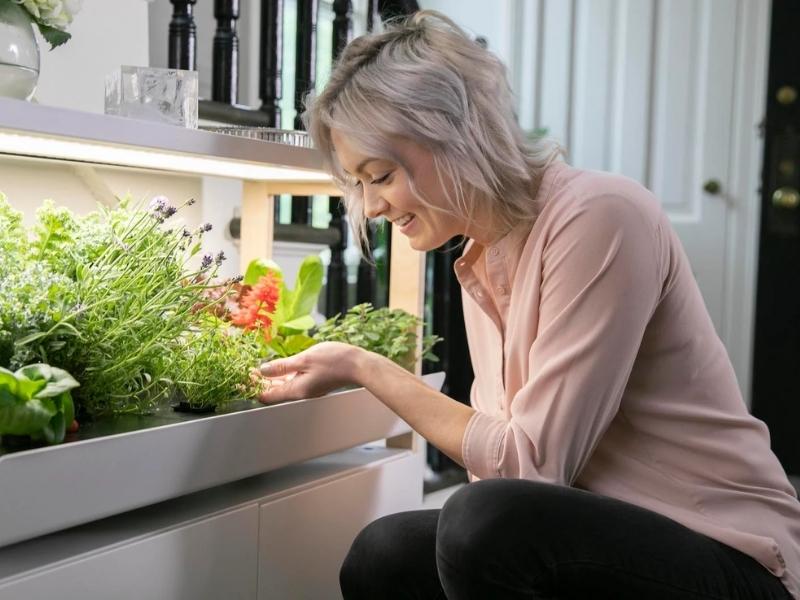 Indoor Garden for the 35th anniversary gift parents