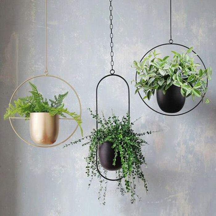 Hanging planters: simple gift for her