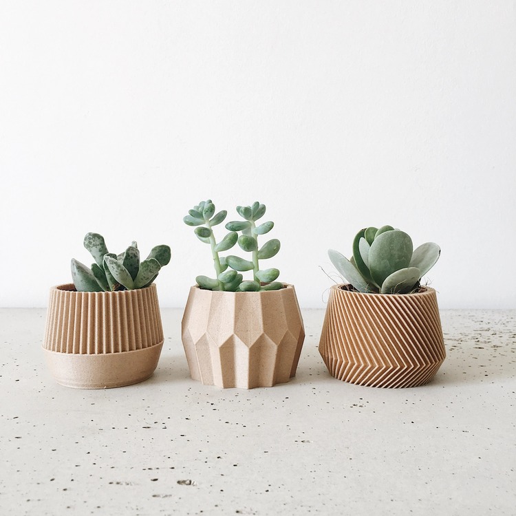 Mother's day gifts for new moms -Set of 3 Small Succulent Plant Pots