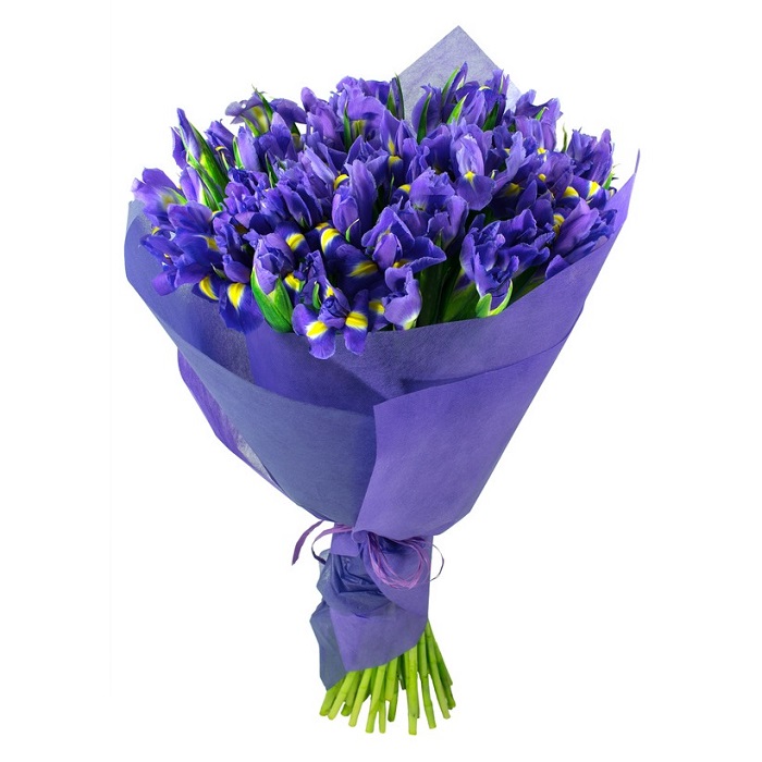 25Th Anniversary Gift - Blue And Purple Iris Flowers
